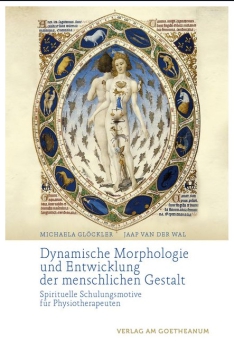 Michaela Glöckler / Jaap van der Wal  (Hg.) :    Dynamische Morphologie und Entwicklung der menschlichen Gestalt.  Spirituelle Schulungsmotive für Physiotherapeuten