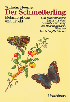 Wilhelm Hoerner :   Der Schmetterling.   Metamorphose und Urbild. Eine naturkundliche Studie mit einer Lebensbeschreibung und Bildern aus dem Werk der Maria Sibylla Merian