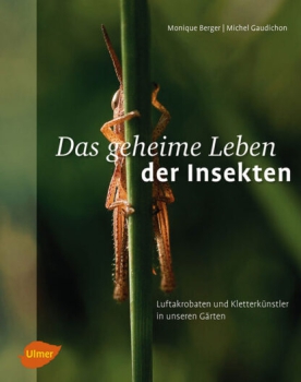Monique Berger / Michel Gaudichon :  Das geheime Leben der Insekten.  Luftakrobaten und Kletterkünstler in unseren Gärten