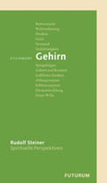 Rudolf Steiner:   Stichwort Gehirn