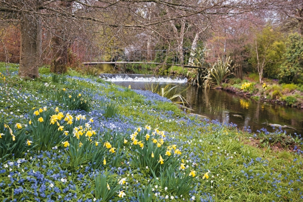 Jane Powers :  Living Garden . Gärtnern im Einklang mit der Natur