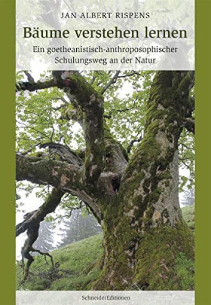 Jan Albert Rispens:   Bäume verstehen lernen: Ein goetheanistisch-anthroposophischer Schulungsweg an der Natur  (Gebundene Ausgabe)